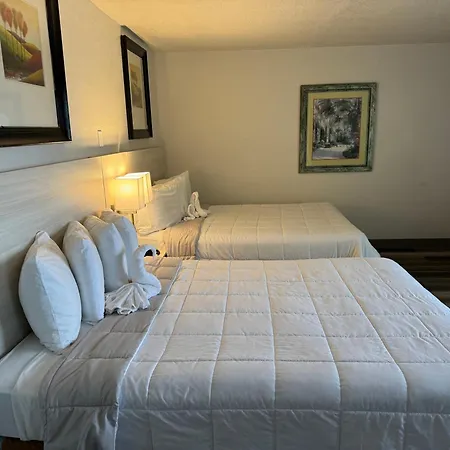 Emerald Shores Hotel - Daytona Beach-3